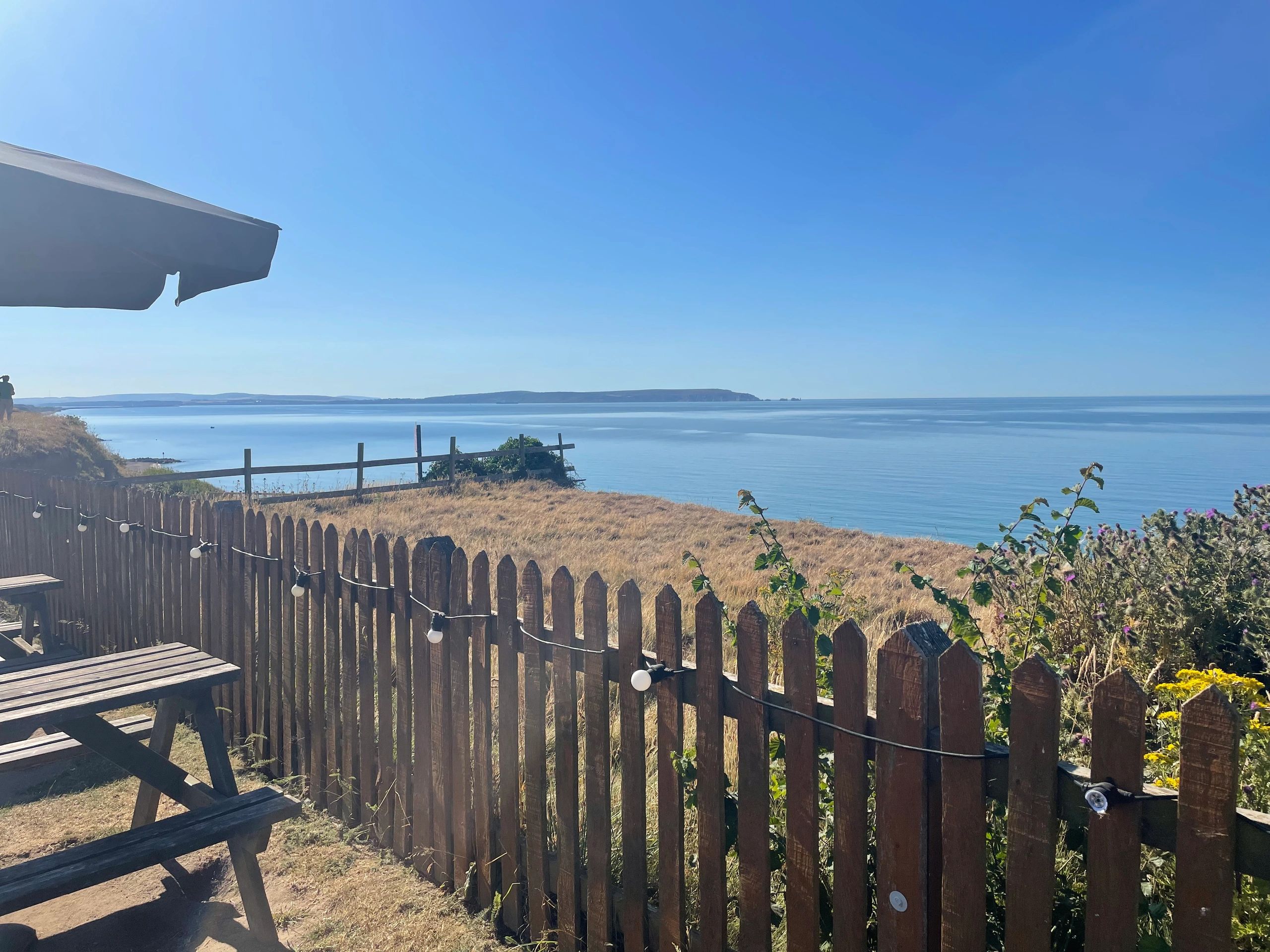 DogFriendly Café & Restaurant, Hampshire Café