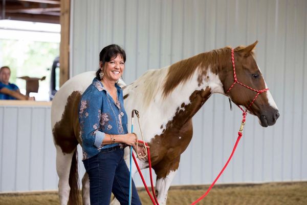 Equestrian training.