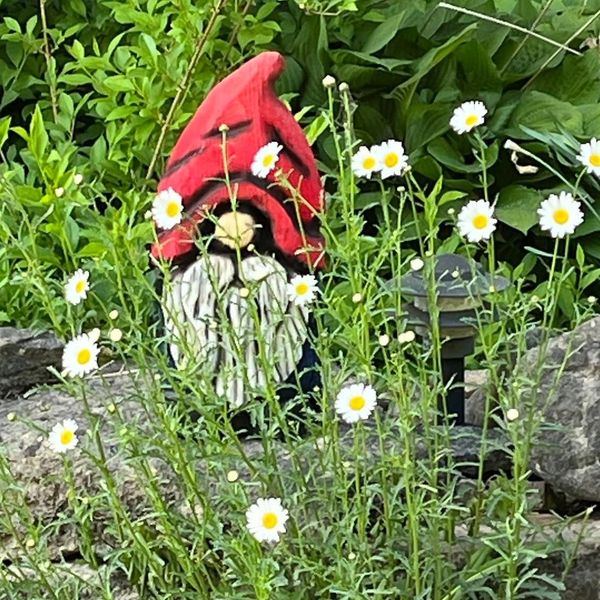 Garden Gnome