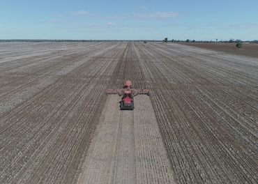 Planting