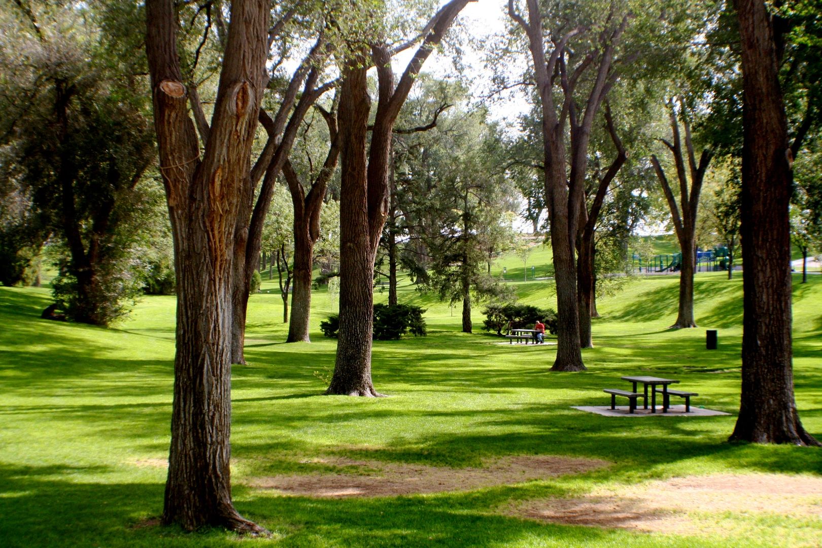 Beautiful Park in Lake Benton MN