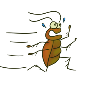 German cockroach cartoon