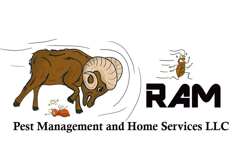 Roach Cleanout Ram Pest Management and Home Services LLC