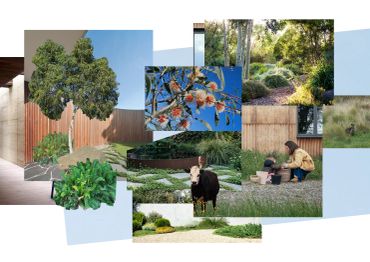 Collage of outdoor garden scenes with plants, animals, and people.