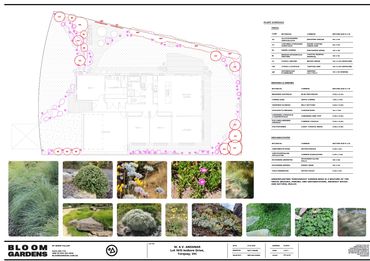 Landscape design plan with plant species and images for a garden project.