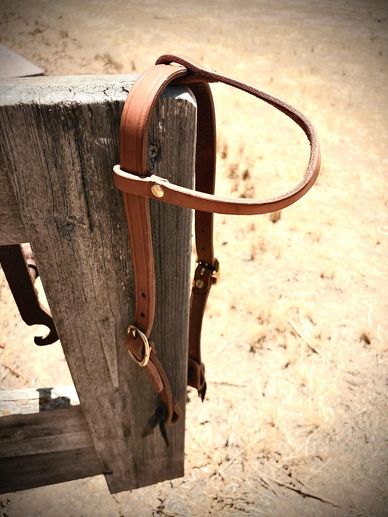Slide ear headstall
