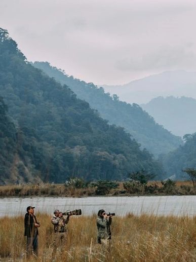 Birding in Namdapha National Park, Northeast India