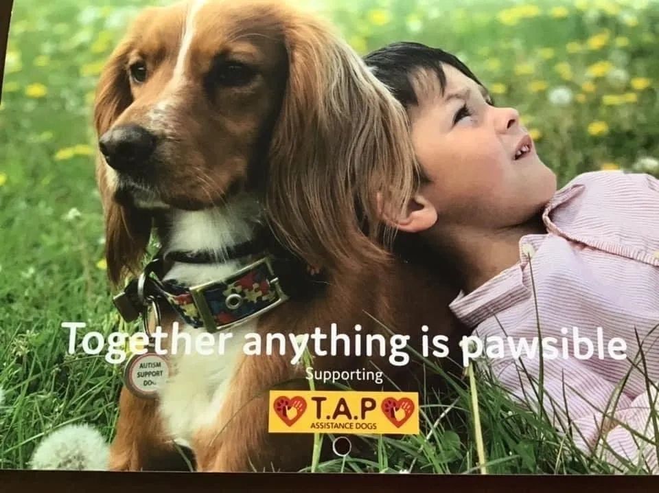 T.a.p. Assistance Dogs (together Anything is Pawsible) logo