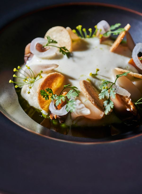 soupe de pomme de terre 