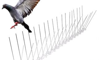 Bird deterrents, Brighton, commercial and residential Brighton, Aerial engineers, satellite repairs