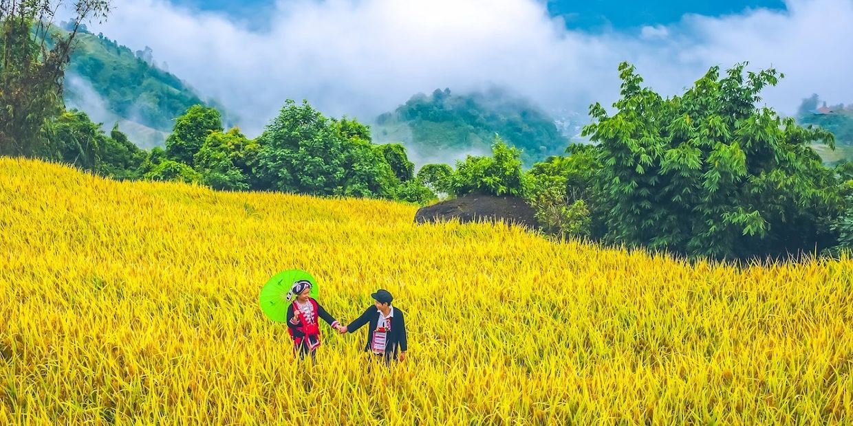 Rice terrace photography