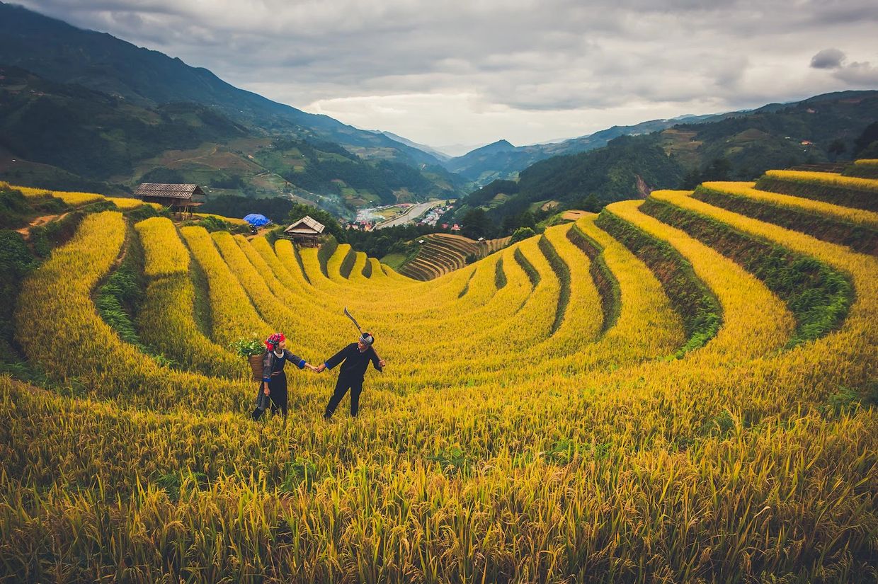 Rice terrace photography in Vietnam