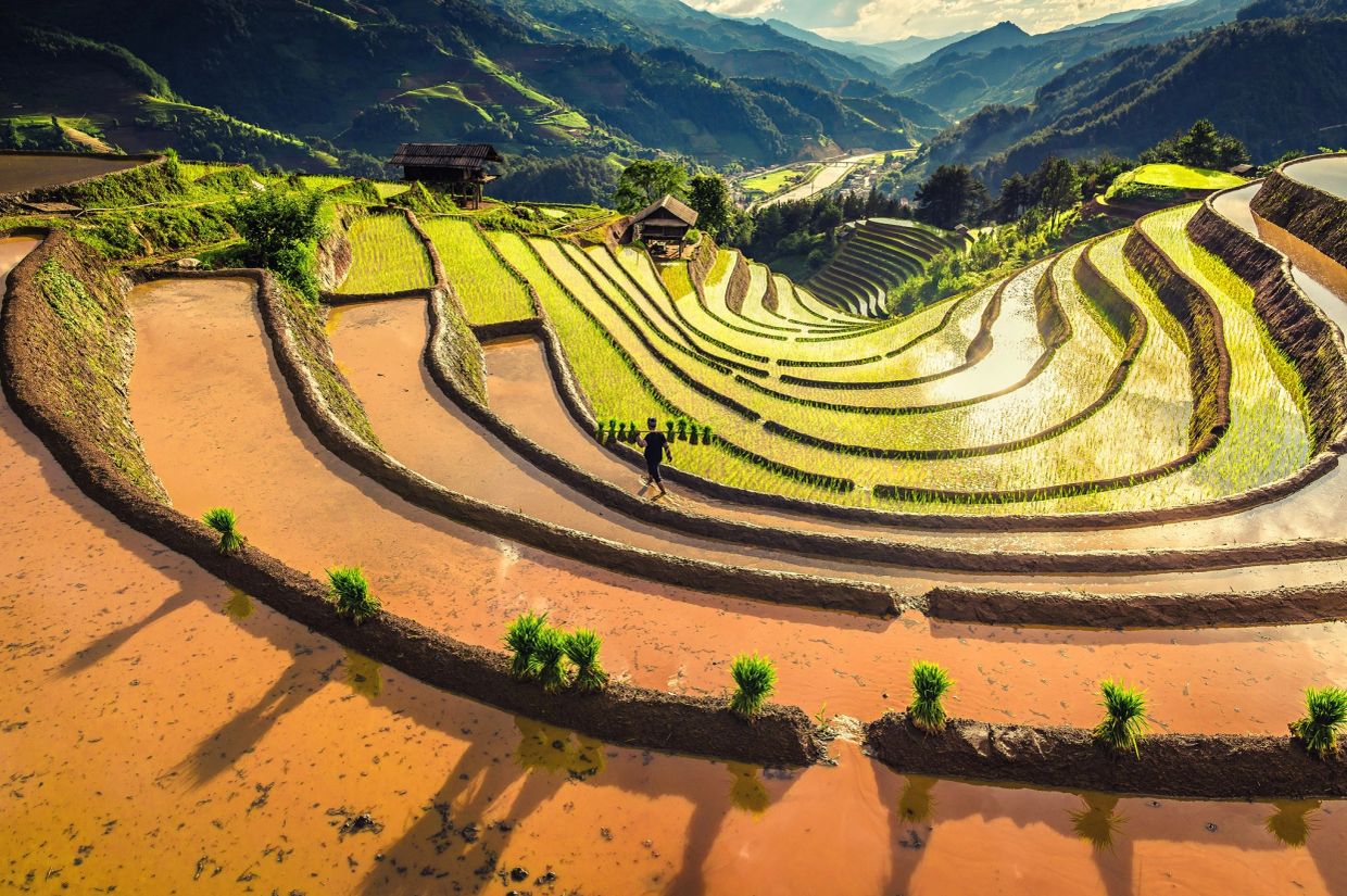 Rice terrace photography during wet season
