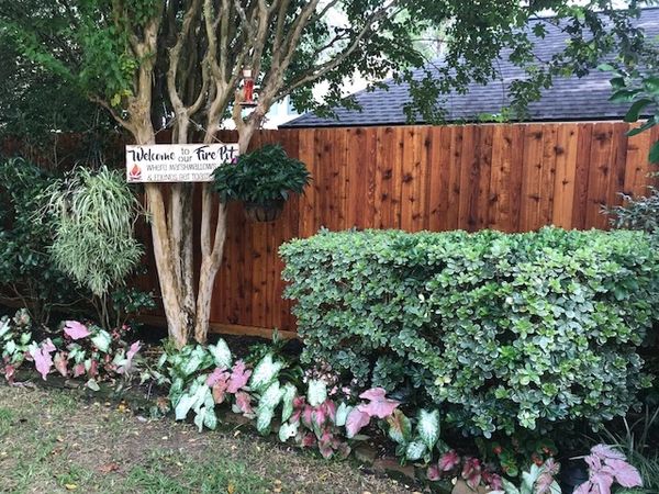 garden and fence