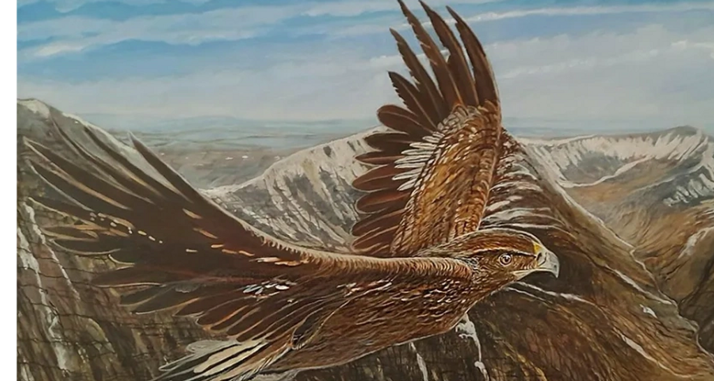 Winter in the Cairngorms, Golden Eagle. Original oil on canvas.
