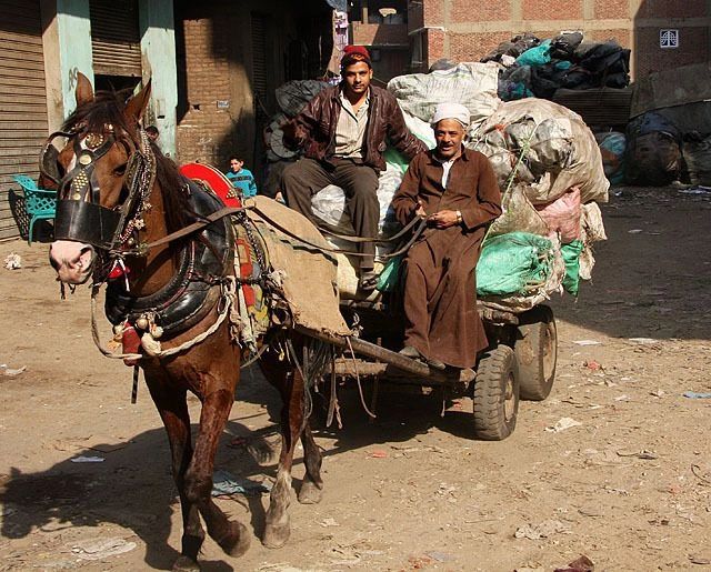 Two Zabaleen men on a donkey carriage carrying garbage.