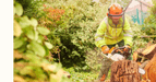 J & TB Tree Service