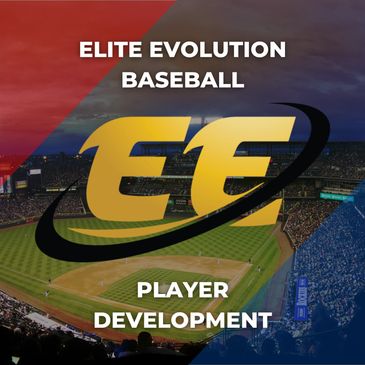 Elite Evolution Baseball