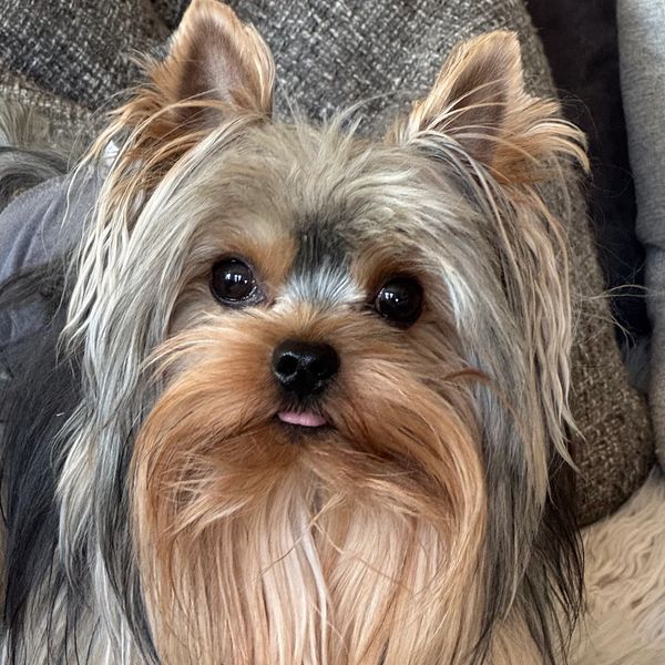 Our sweet Twix!  