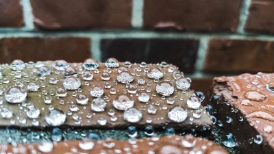 Close-up of water droplets on brown bricks with a blurred brick wall background.