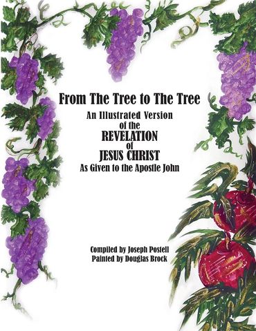 From the Tree to The Tree Book Cover