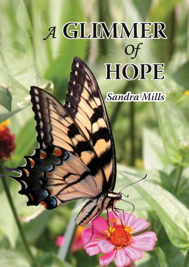 A Glimmer of Hope Book Cover
