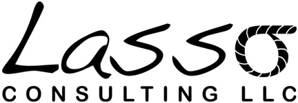 Lasso Consulting LLC