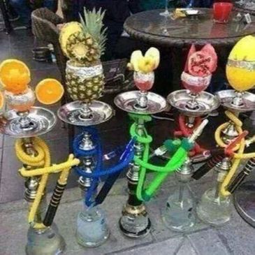 Casablanca Fruit Head Hookahs
