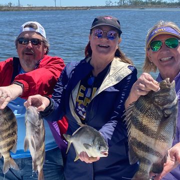 Inshore Fishing Charter Sheepshead