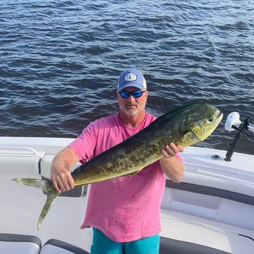 Offshore Fishing charter-Mahi Mahi