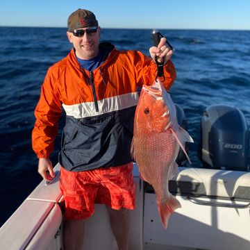 Red Snapper Fishing- Pensacola Fishing Charters