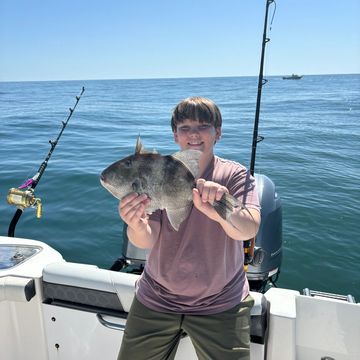 Trigger Fish offshore fishing charter