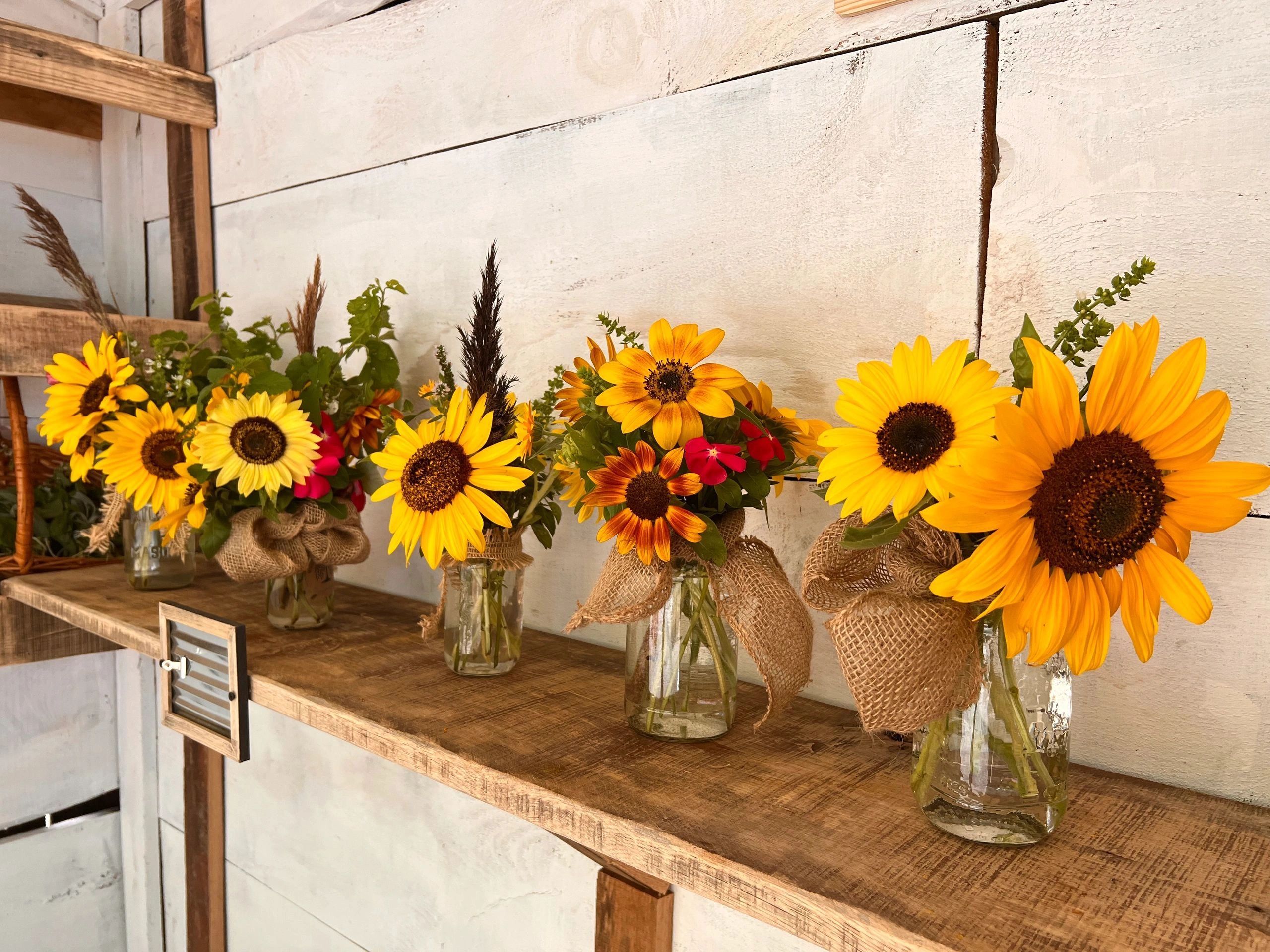 Stone & Iron Homestead