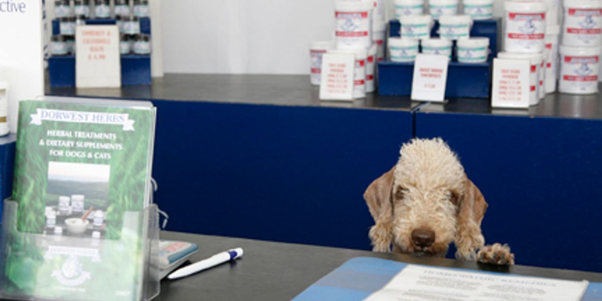 Trade Stands Driffied Ch Dog Show