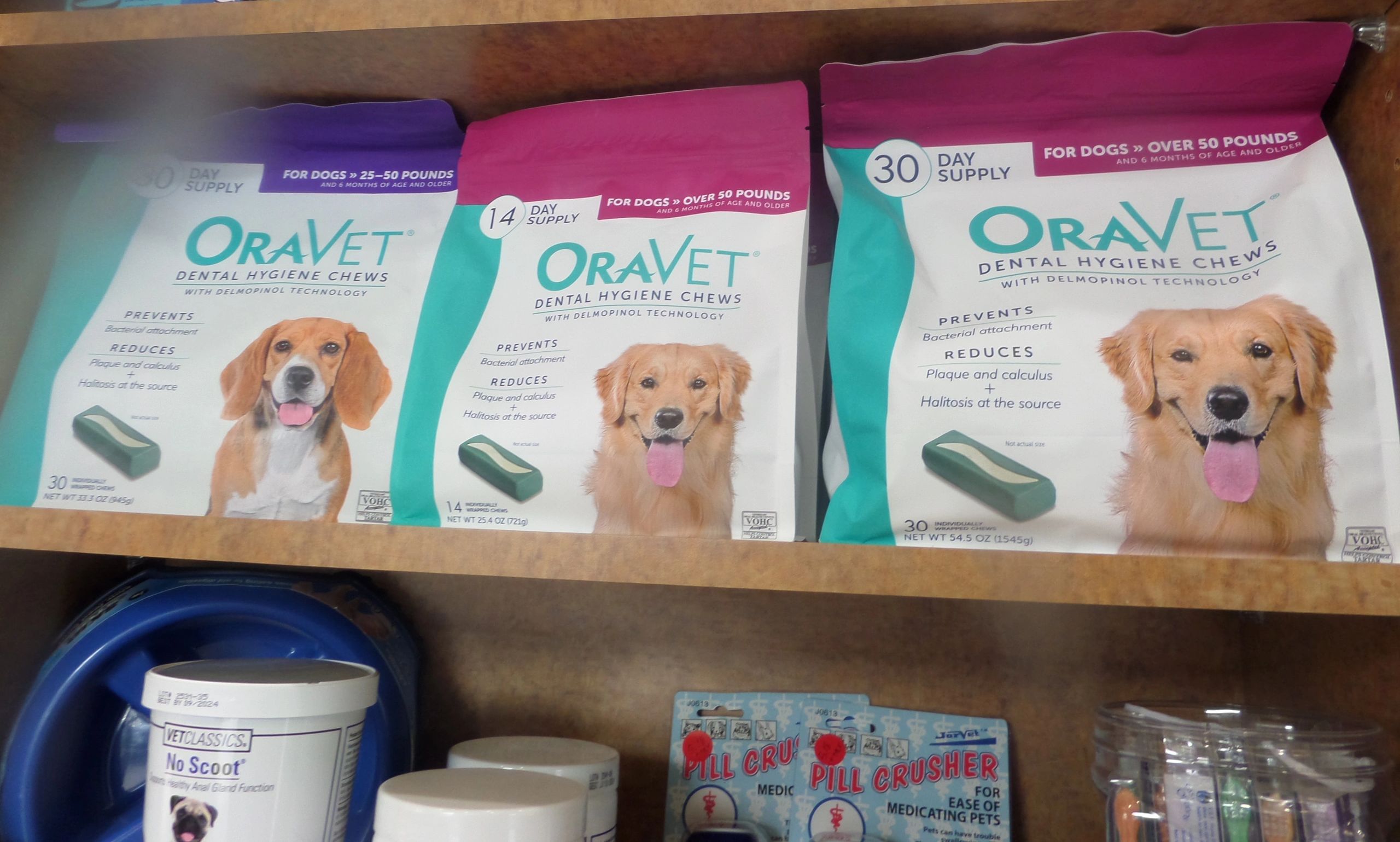 What Age Can Puppies Have Dental Chews