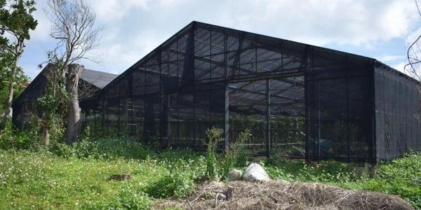 Large black mesh greenhouse surrounded by greenery under a partly cloudy sky.