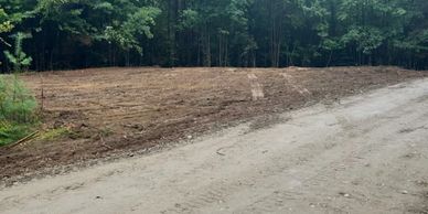 Cleared land beside a dirt road with dense forest in the background.