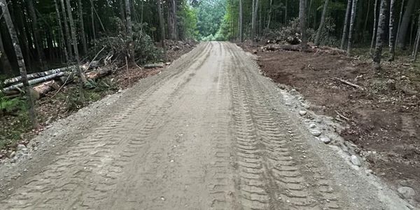 Newly constructed dirt road through a forested area.