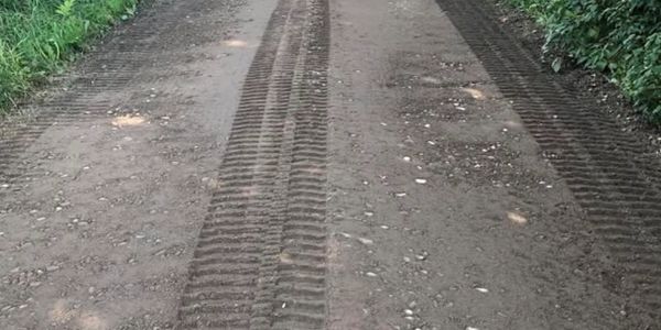 Fresh tire tracks on a dirt road surrounded by greenery.