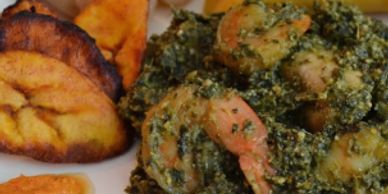 NDOLE CAMEROUN DOUALA