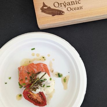 small portion of salmon with cream and tomato, cedar planks in the corner