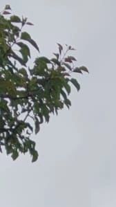 Mikrosera don pervaneleri ister şebekeden, ister jeneratörden istenirse de traktörden çalıştırılır.