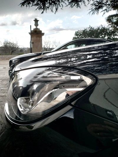 auto di lusso merlina classe v luxury matrimonio transfer trasferimento privato noleggio conducente