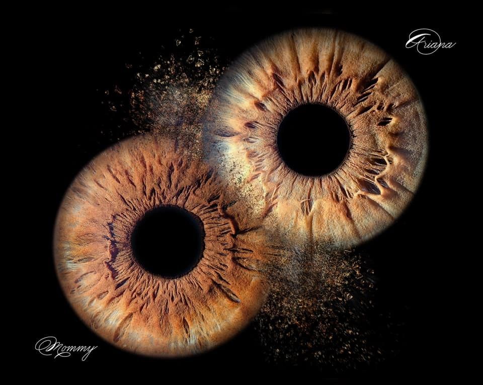 Iris full color valencia Inicio
