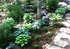 Shade Bed & Mulching