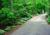 Driveway Bed and Mulching