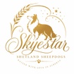 SKYESTAR Shetland Sheepdogs
