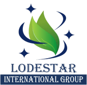 LODESTAR LOGISTIC