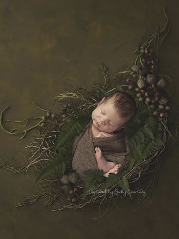 Baby in basket green fern and gum nuts