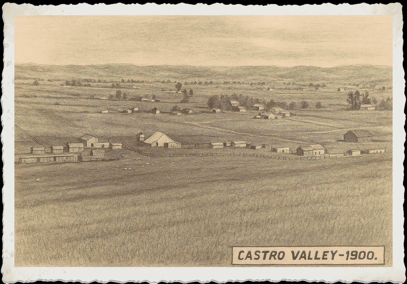 Exploring the Role of Local History Museums in Communities